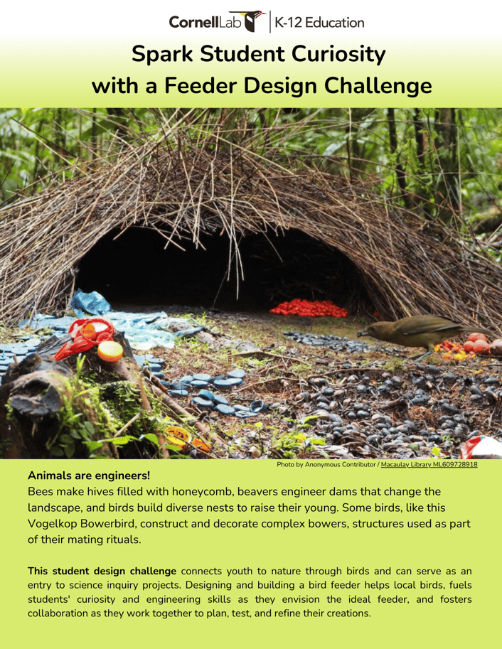 Spark Student Curiosity With A Feeder Design Challenge Guide Spark Student Curiosity With A Feeder Design Challenge Guide
